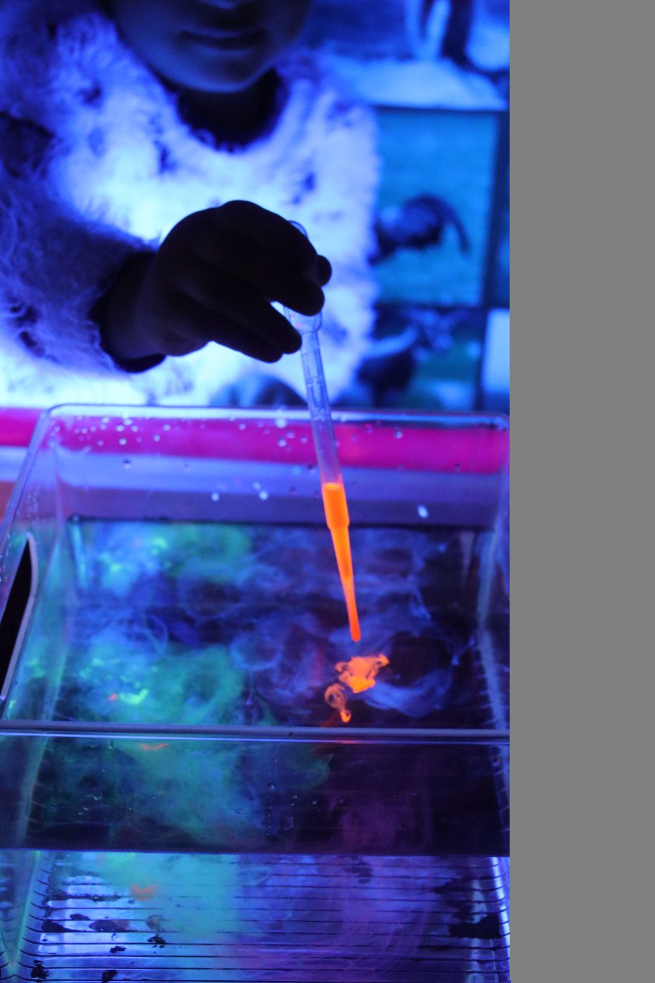 Experiência fluorescente