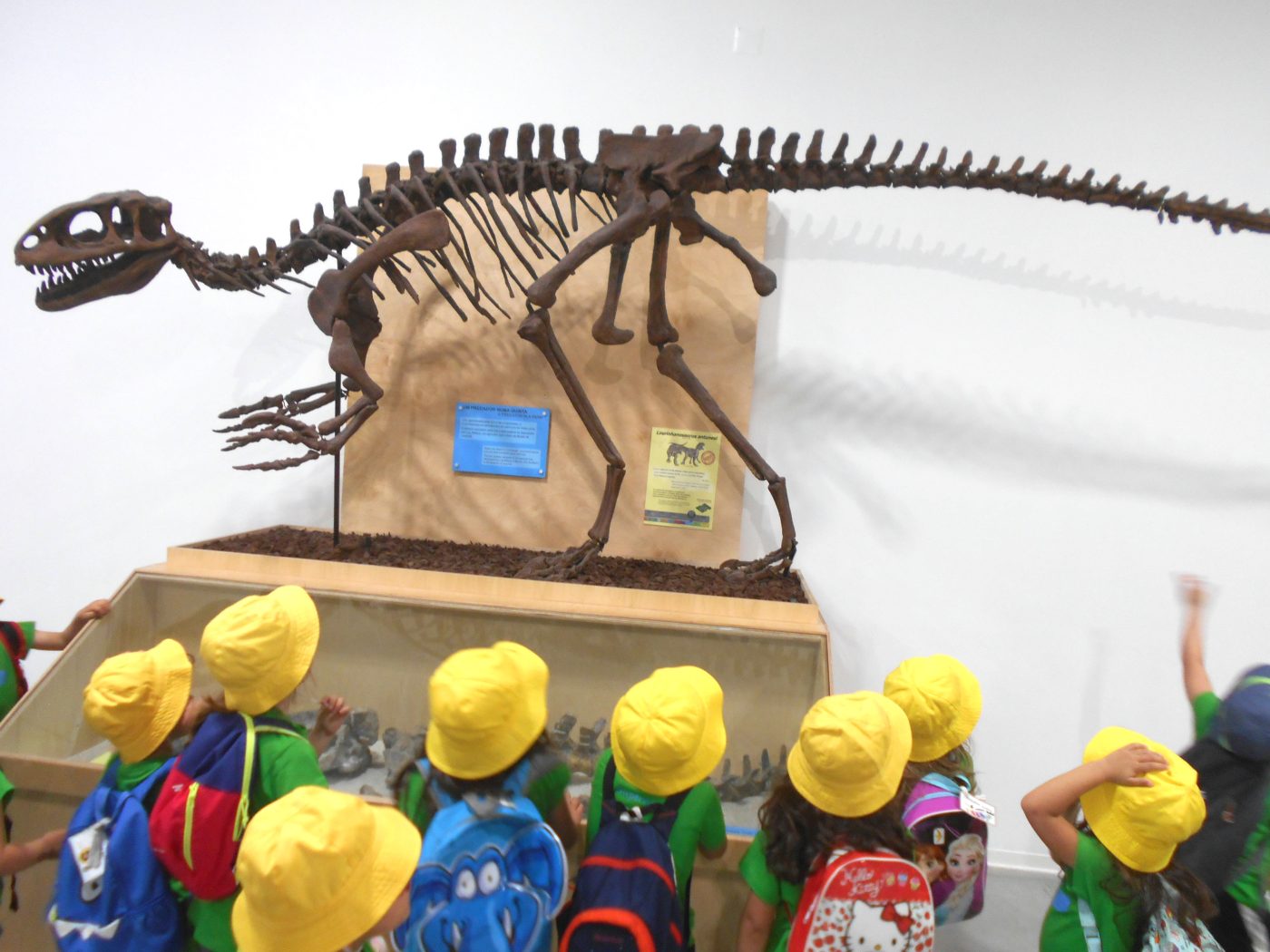 Dino Parque